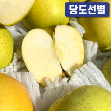 시나노 골드 가정용 황금사과 당도선별 사과, 1박스, 2kg (중소과)