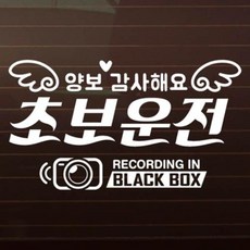 아트박스/제제데코 SET_텍스트_양보감사해요_초보운전+블랙박스 [자동차스티커/초보운전스티커], 1개