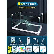 레이저백거북이