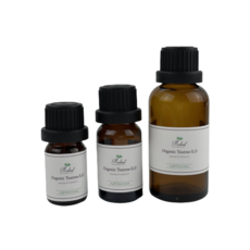 플랑플랑티트리