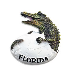 보라카이마그넷