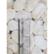 키조개관자 횟감용 10Kg (10팩/박스) 10/20 20/30 신선한식재료 냉동포장 바른유통 업소용, 20/30 키조개관자 10 Kg, 1박스