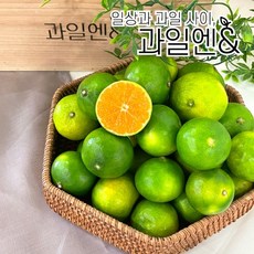 청귤톡제로톡