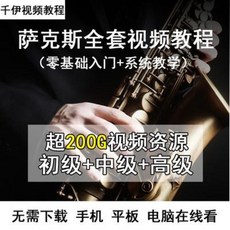 입문용 전자 어깨걸이 삭스 튜토리얼 입문 제 기초 화상 강의 중급 고급 색소폰, 01 삭스 교육 동영상(200G 망반 추출)