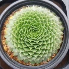 c85ef84916cb287b7e574e583857a9aae585ae59e730bdf964832ec3cb70.jpg