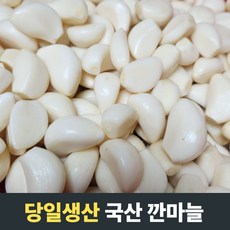 저장마늘구입시기