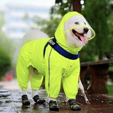 도롱이의꼬리