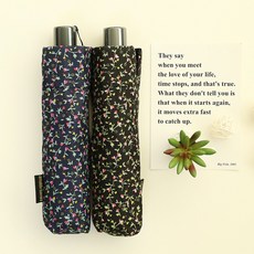 아놀드바시니우산