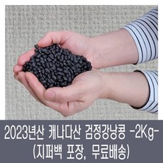 [다온농산] 수입 캐나다산 검정강낭콩 -2Kg- 지퍼백, 1개