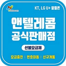 선불폰 선불유심 알뜰폰 무제한 요금제 앤텔레콤 개통, 선택옵션, LGU+선불요금제