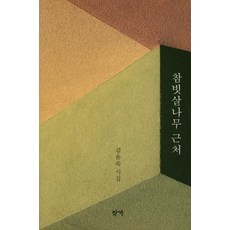 나무빗살
