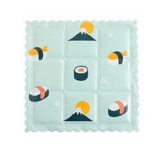 코스트코아이스방석