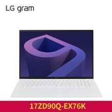 LG전자 2022 gram 17, Free DOS, 17ZD90Q-EX76K, 코어i7, 16GB, SNOW WHITE, 256GB