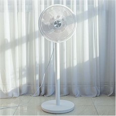 무지선풍기