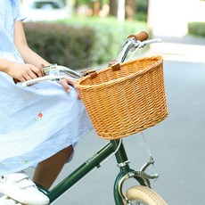 자전거라탄바구니