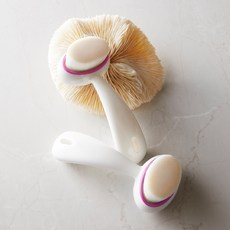 미세모세안브러쉬