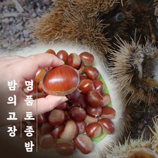 이배작품