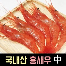 줄새우