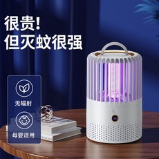 추천8벚꽃캠핑장