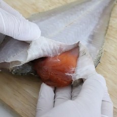 알가자미