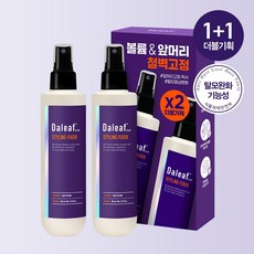 달리프헤어픽서 TOP01