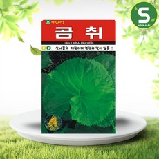 솔림텃밭몰 곰취씨앗 100립 산나물 산채류 쌈채소, 1개