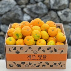 깨비농원꿀맛하우스귤2kg