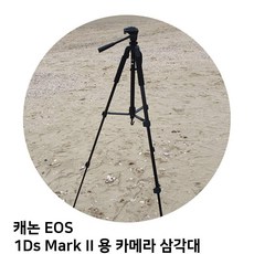 캐논1ds