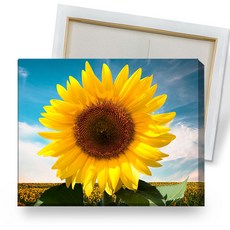 보석십자수주차