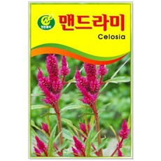 청농 맨드라미 꽃씨앗 300g