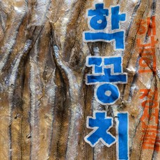 국산 삼천포 학꽁치포 300g x1 봉 해남의정선품 무방부제 식품 (대림수산)