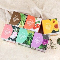 자연애 마이가든 사랑스러운 식물기르기 씨앗 식물 가드닝 원예 인테리어 텃밭 미니 실내 화분 가심비 가성비