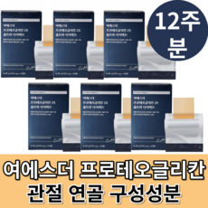 프로테오글리칸 대한민국 1등 점막부착필름 여에스더 닥터에스더 프로테오글리칸 2x 연어 코 연골 유래 추출분말 관절 연골 허리 무릎에 도움 좋은음식 프로테오글리칸 2형콜라겐, 4.48g, 6개