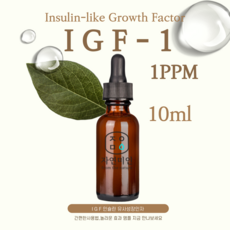 에코문 IGF 1PPM 10ml /나노 이지에프 앰플 원액 에센스 리포좀 펩타이드 원료, 1개 - 에코문