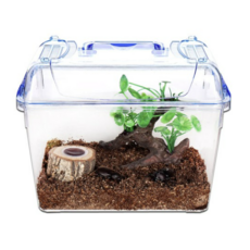  사필풍 클린대형 유목수초 장수풍뎅이 사육세트 B, 2세트 