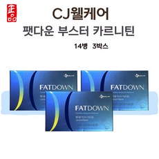 김나영 팻다운 부스터 카르니틴 다이어트 체지방 피로 감소 6주, 700ml, 3개