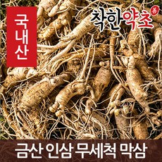 착한약초 금산 인삼 50종 수삼 삼계용 인삼주키트 선물세트, 1개, 1I8X_금산 인삼 무세척 못난이 막삼 1kg