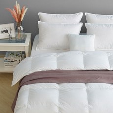 헝가리구스베개솜