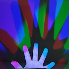 그림자놀이동물