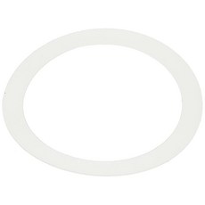 Pentair 195004 폴리에틸렌 와셔 교체용 FNS 수영장 및 스파 D.E. 필터 103334, Pentair 195004 폴리에틸렌 와셔 교체용 FN, 1개