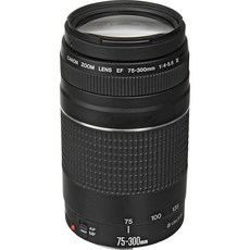 캐논 EF 75-300mm f/4-5.6 III SLR 카메라용 망원 줌 렌즈 6473A003 갱신