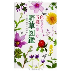 색상에서 볼 이유 오감으로 즐기는 야생화 도감, 단일옵션, 단일옵션