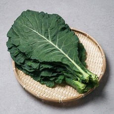 원주 유기농 케일 즙용 1kg, 1개