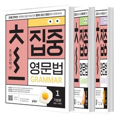 초집중 초등 고학년 집중 영문법 1+2+3 세트 (총3권)