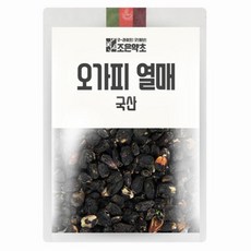 조은약초 [조은약초] 가시오가피 열매 300g, 1, 없음/없음/없음