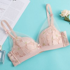 연못 속옷 작은 가슴 모으다 얇다 섹시하다 레이스 무강 링 조정형 브라 편안하다 통기