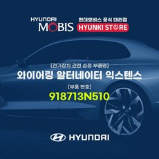 알터보강
