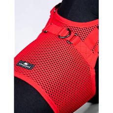 팅 개 마구 (Medium Strawberry Red), Medium, Strawberry Red