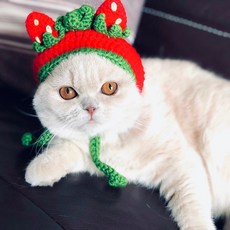 강아지모자손뜨개만들기