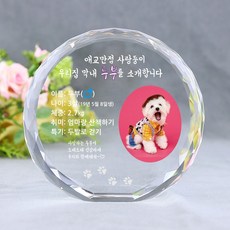 반려견양모펠트액자